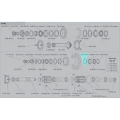 Campagnolo® Cache Poussière Campagnolo [x1] - HB-EU025